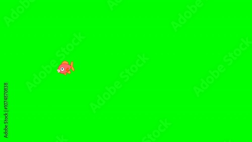 Fish rush,  jump out of water. Flying fishes escape animation. 2D cartoon orange goldfish leap tuna swim, right to left sea, ocean pan. Transparent green screen background. Footage loop animated video