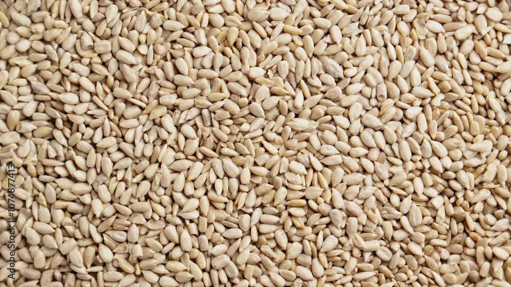 Sunflower seeds rotating. Pile of gray seeds. Healthy vegan food concept. Raw sunflower seeds arranged in pleasing pattern. Snack. Top view in 4K, UHD Sunflower seeds rotating. Pile of gray seeds. Healthy vegan food concept. Raw sunflower seeds arranged in pleasing pattern. Snack. Top view in 4K, UHD