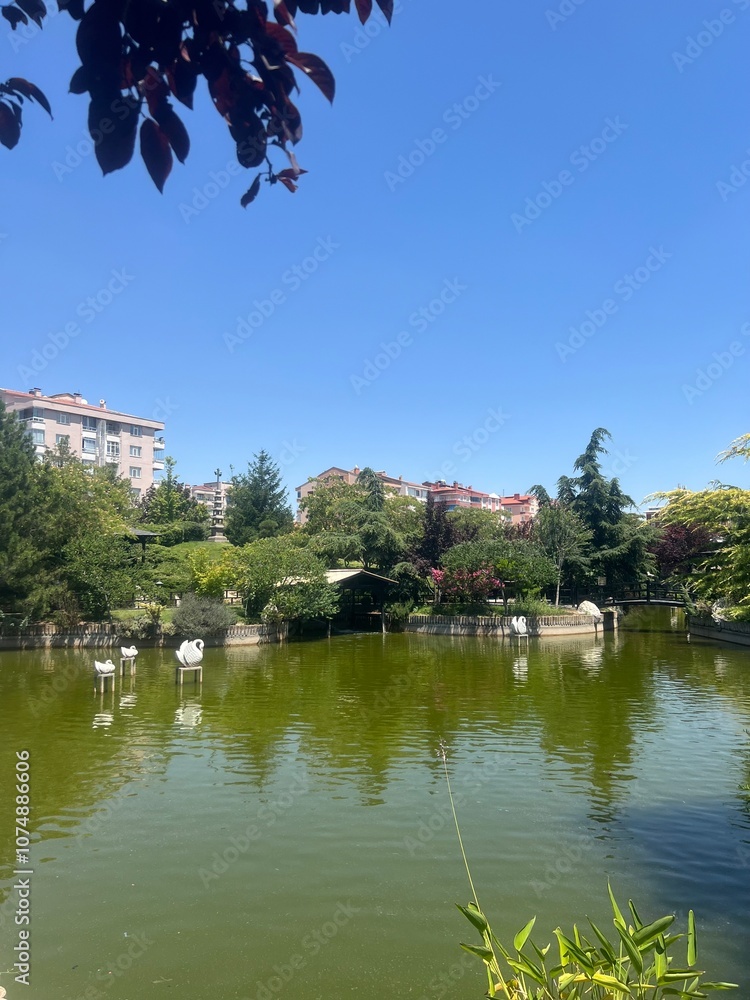 park in the city park in the city