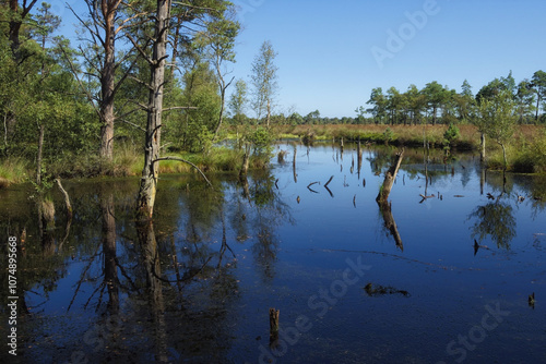 Schneverdingen - Pietzmoor, Renaturierung, mit Wasser vollgelaufener Torfstich, Niedersachsen, Deutschland, Europa photo