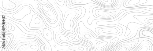 Background vector illustration of the topographic map.  Сoncept of a conditional geography scheme and the terrain path.