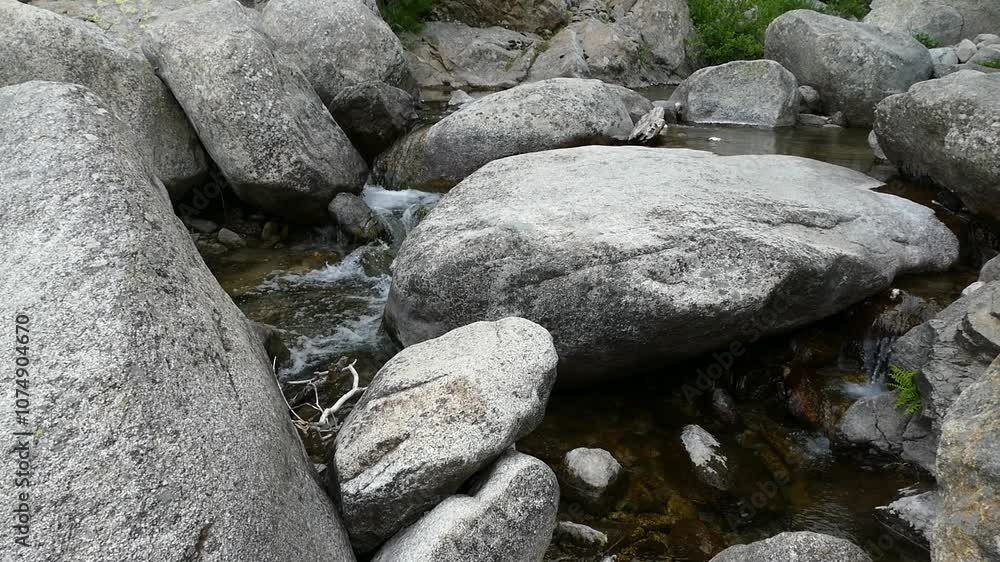 pure water river creek in nature pure water river creek in nature