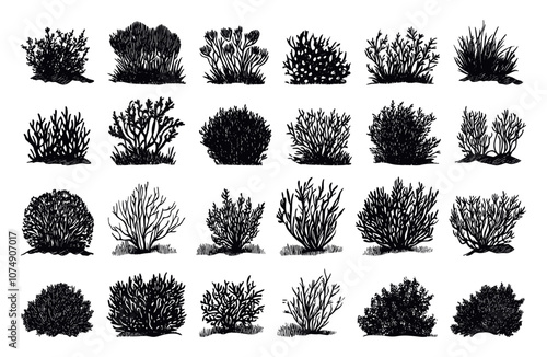 Shrub Bush Linocut Vector Isolated Illustrations On White Detailed Bush Artwork Textured Designs Isolated Vintage Artistic Bush Natural Plant Lush Greenery