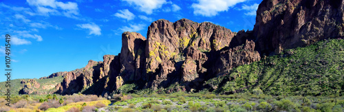 Salt River Recreation Area Arizona