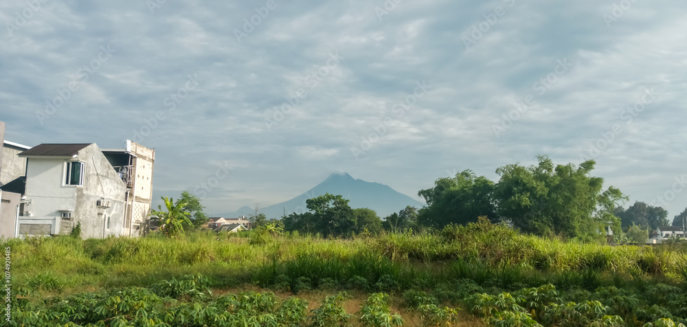 Fototapeta premium rice field in the mountains