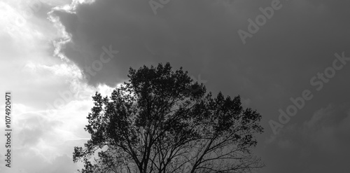 The Silhouette of The Twilight