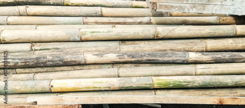 stack of bamboo