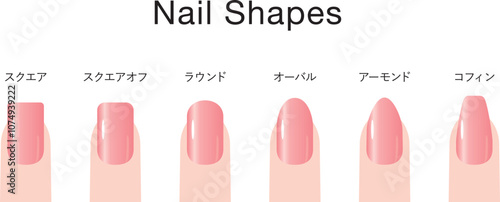 色々な爪の形の種類セット