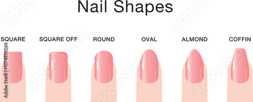 色々な爪の形の種類セット