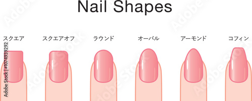 色々な爪の形の種類セット