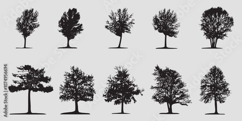 Collection of black silhouettes of park trees. Vector on a gray background