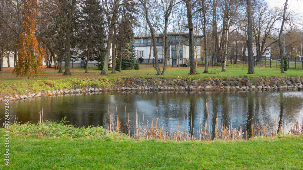 pond in the park