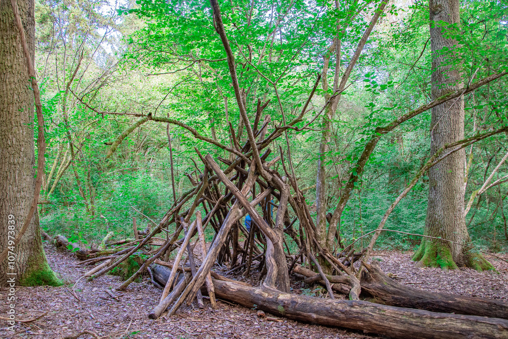 A makeshift wooden shelter built with sticks and branches in a lush green forest. The structure appears primitive and blends naturally with the surrounding vegetation, evoking a sense of wilderness an A makeshift wooden shelter built with sticks and branches in a lush green forest. The structure appears primitive and blends naturally with the surrounding vegetation, evoking a sense of wilderness an