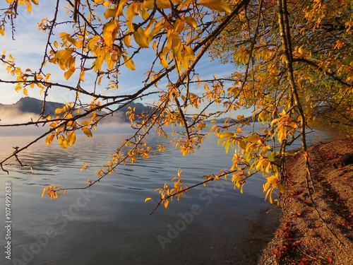 Herbstfarben Impressionen aus dem Allgäu photo