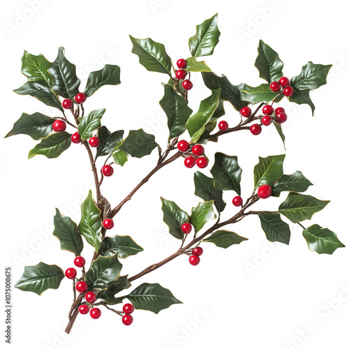 Holly Sprig with Red Berries: A classic festive decoration for the holiday season. The sprig is adorned with lush green leaves and bright red berries, adding a touch of cheer to any setting. 