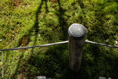 Obraz na płótnie Japanese garden in Ginkakuji Temple, Kyoto, Japan w salonie