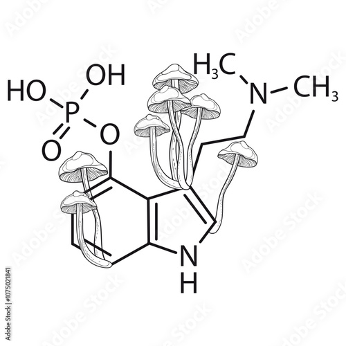 Psilocybin chemical formula with Psilocybe mushrooms in black isolated on white background. 