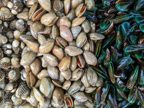 Fresh raw shellfish, clams and green mussels, Bangkok, Thailand
