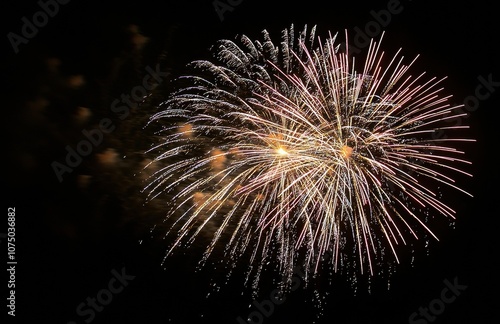Wallpaper Mural Fireworks exploding against dark night sky creating a spectacular display of light and color Torontodigital.ca