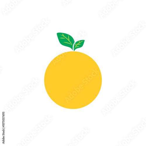 simple vector of orange fruit