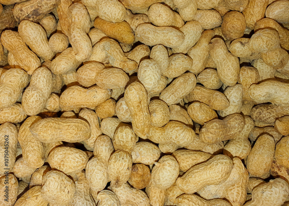 Close-up with many peanuts in the shell Close-up with many peanuts in the shell