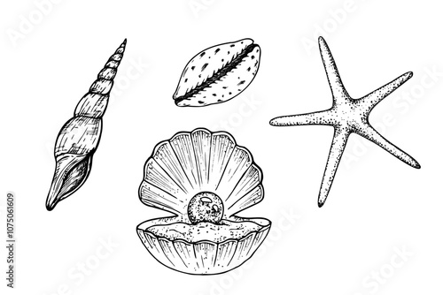 Vector beautiful set with shells, starfish. Hand painted line opened oyster seashell with pearl. Graphic clip art isolated on background. Underwater illustration. For designers, invitations