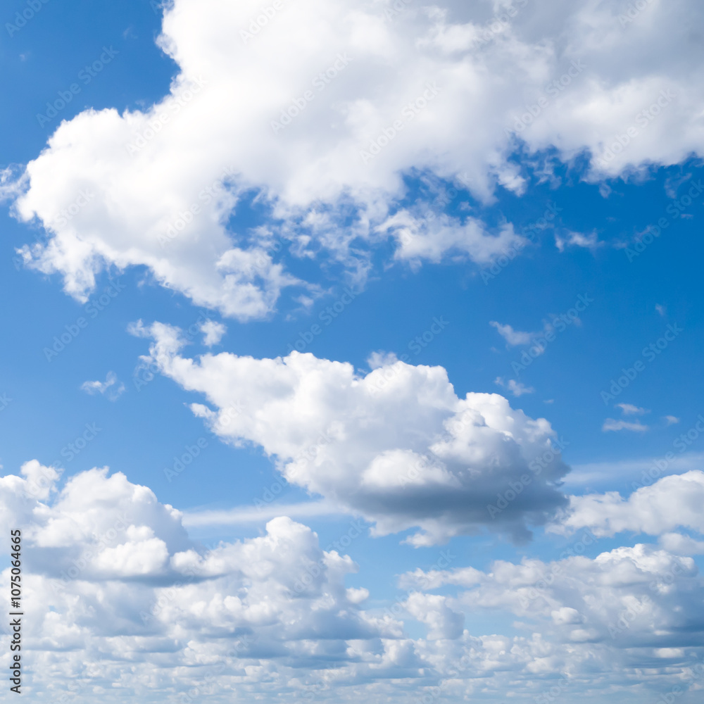 Fototapeta premium Summer sky