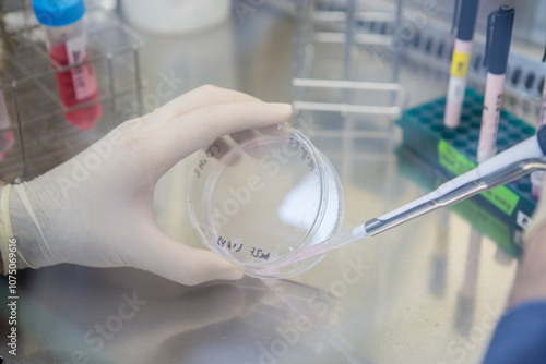 Cell Culture or Tissue culture