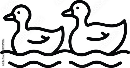Two simple duck floating on the water
