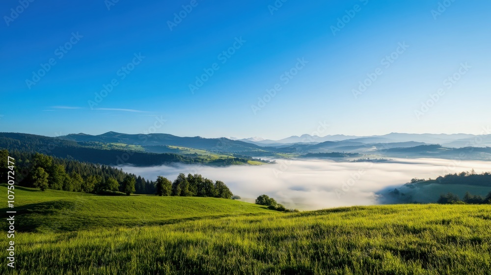 A beautiful, serene landscape with a foggy mist rolling in from the mountains A beautiful, serene landscape with a foggy mist rolling in from the mountains