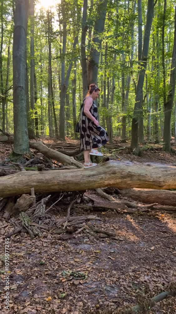 Woman Balances on Fallen Tree in a Warm Autumn Forest. Vertical Video Woman Balances on Fallen Tree in a Warm Autumn Forest. Vertical Video