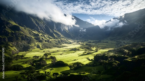 Discover tristan da cunha the most remote island paradise photo