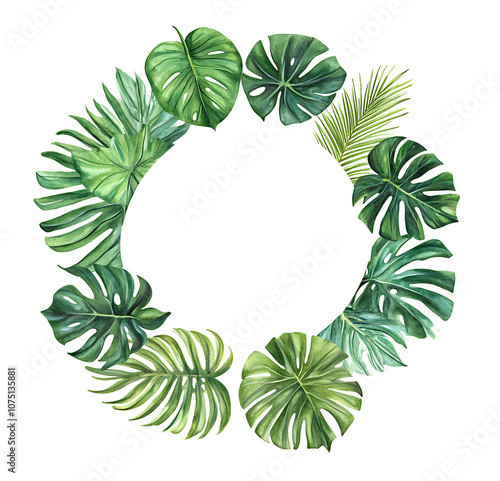 Tropical green leaves wreath, exotic home plant, Monstera palm, creeper. Variety of leaf types circle frame. Botanical jungle clipart. Watercolor hand drawn illustration with isolated background [PNG]