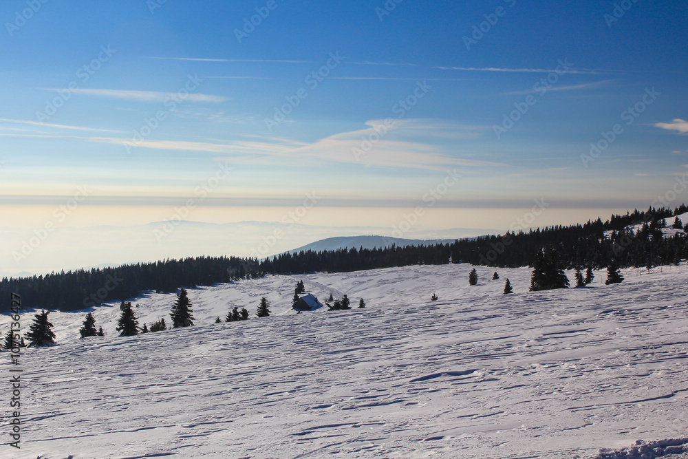 winter mountains landscape sky forest snow alps ski holiday winter mountains landscape sky forest snow alps ski holiday
