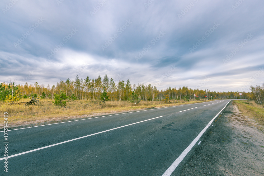 Fototapeta premium A road with a few trees in the background