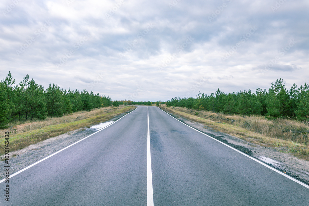 A long, empty road with a few trees in the background A long, empty road with a few trees in the background
