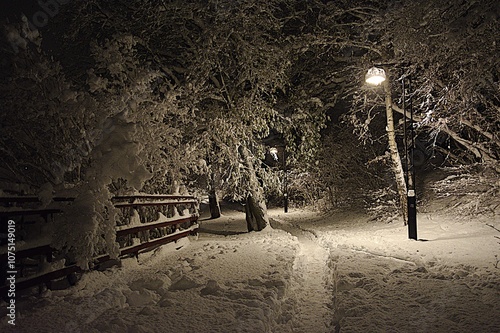 Photography First Snowfall outside Stockholm Sweden Streetlamp