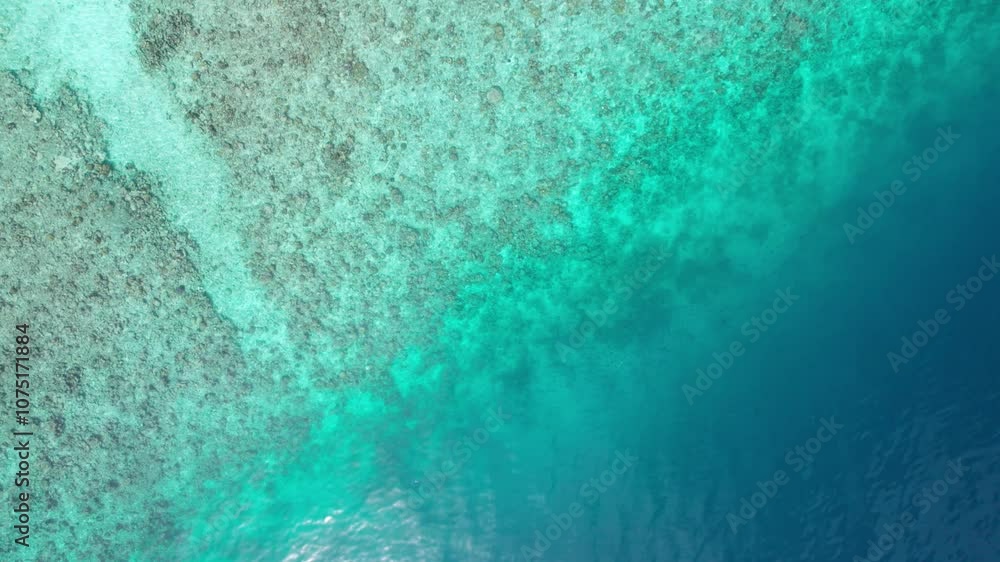 Top view of the turquoise water. Like a background. Small waves create ripples on the sea and change color. Gradient from turquoise to dark blue in places. Clean ocean. The background photo. Maldives Top view of the turquoise water. Like a background. Small waves create ripples on the sea and change color. Gradient from turquoise to dark blue in places. Clean ocean. The background photo. Maldives