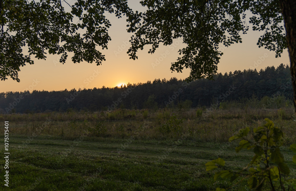 Summer sunset in the countryside Summer sunset in the countryside