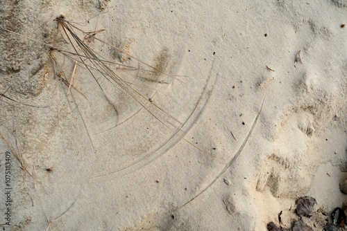 stone in the sand