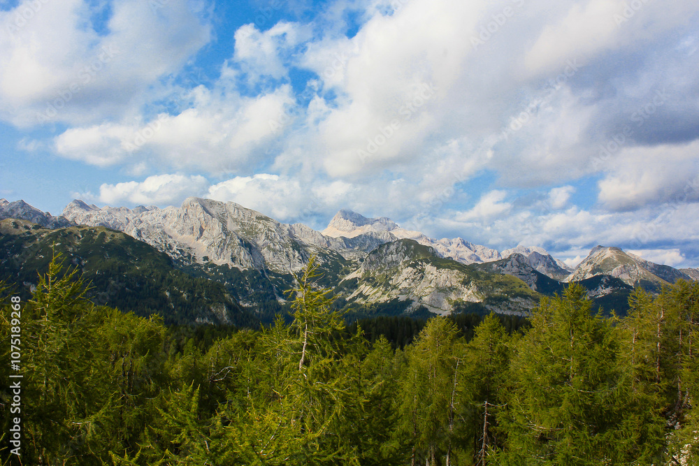 Slovenia Triglav park nature mountains landscape summer spring forest sky with clouds Slovenia Triglav park nature mountains landscape summer spring forest sky with clouds