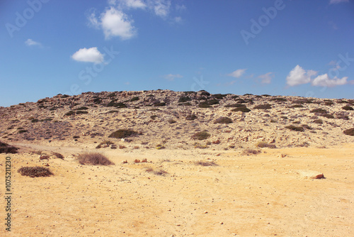 Cyprus nature in summer. Deserted area with wild plants in summer.