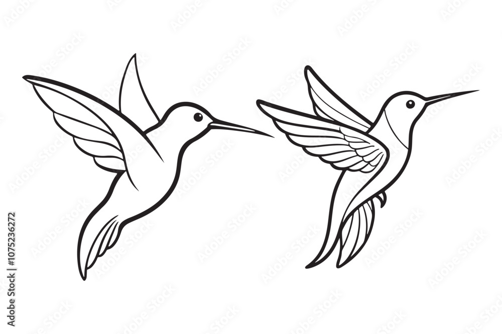 Obraz premium Hummingbird line art vector illustration, Hummingbird line art Silhouette