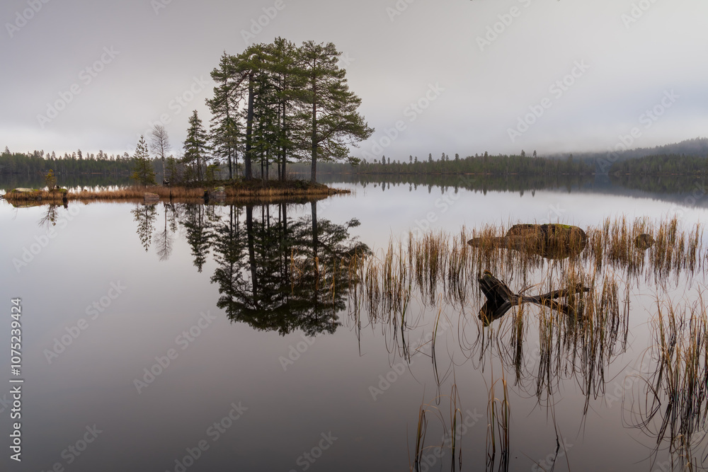 Fototapeta premium lake in the morning