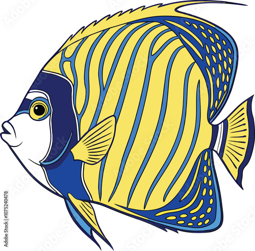 Vector Drawing of Emperor Angelfish from the Atlantic Ocean  