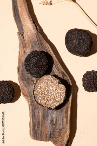 Wallpaper Mural Black truffle, aesthetic composition with dry herbs, piece of wood on a soft, beige background. Earth tones, eco style, close up Torontodigital.ca