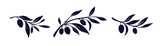 Olive branch set, shape of fruit Greek oil product
