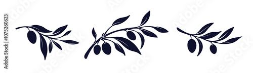 Olive branch set, shape of fruit Greek oil product