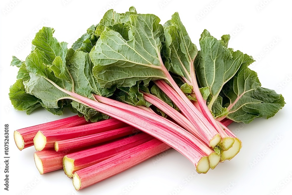 Isolated fresh rhubarb on a white background. Generative Ai Isolated fresh rhubarb on a white background. Generative Ai