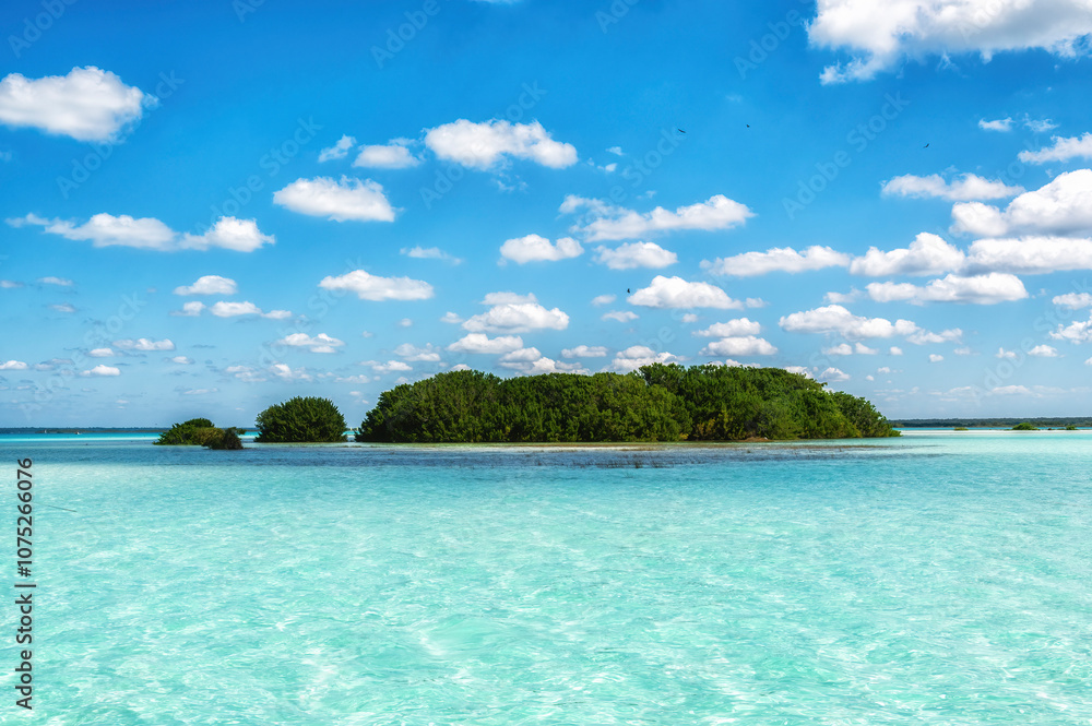 Fototapeta premium Beautiful landscape photo taken in Laguna Bacalar in Mexico